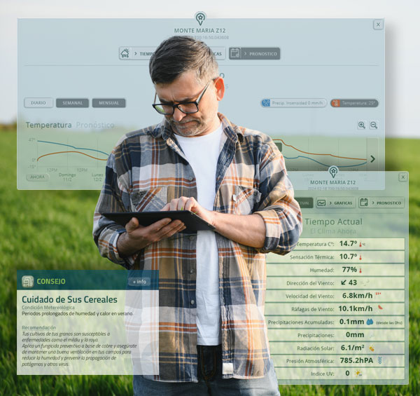Datos + Tendencias + Estadísticas